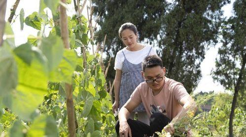 川乡小妹儿的爆料视频,一窥乡村生活百态  第3张