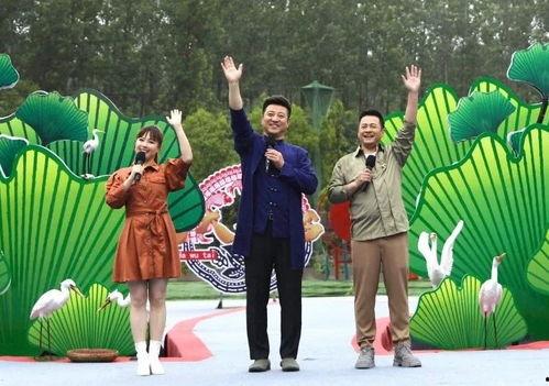 最新网络八卦爆料新闻视频,最新八卦新闻视频揭秘，真相令人震惊！