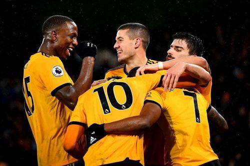 狼队骄傲爆料视频,独家爆料视频背后的故事  第2张