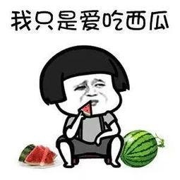 娱乐吃瓜喷子是谁,娱乐吃瓜喷子的崛起与争议  第2张